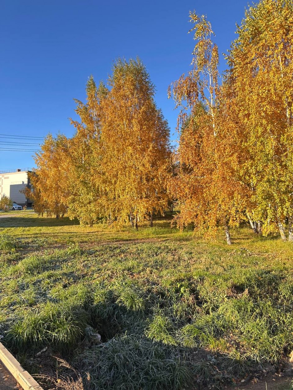 Золотая осень