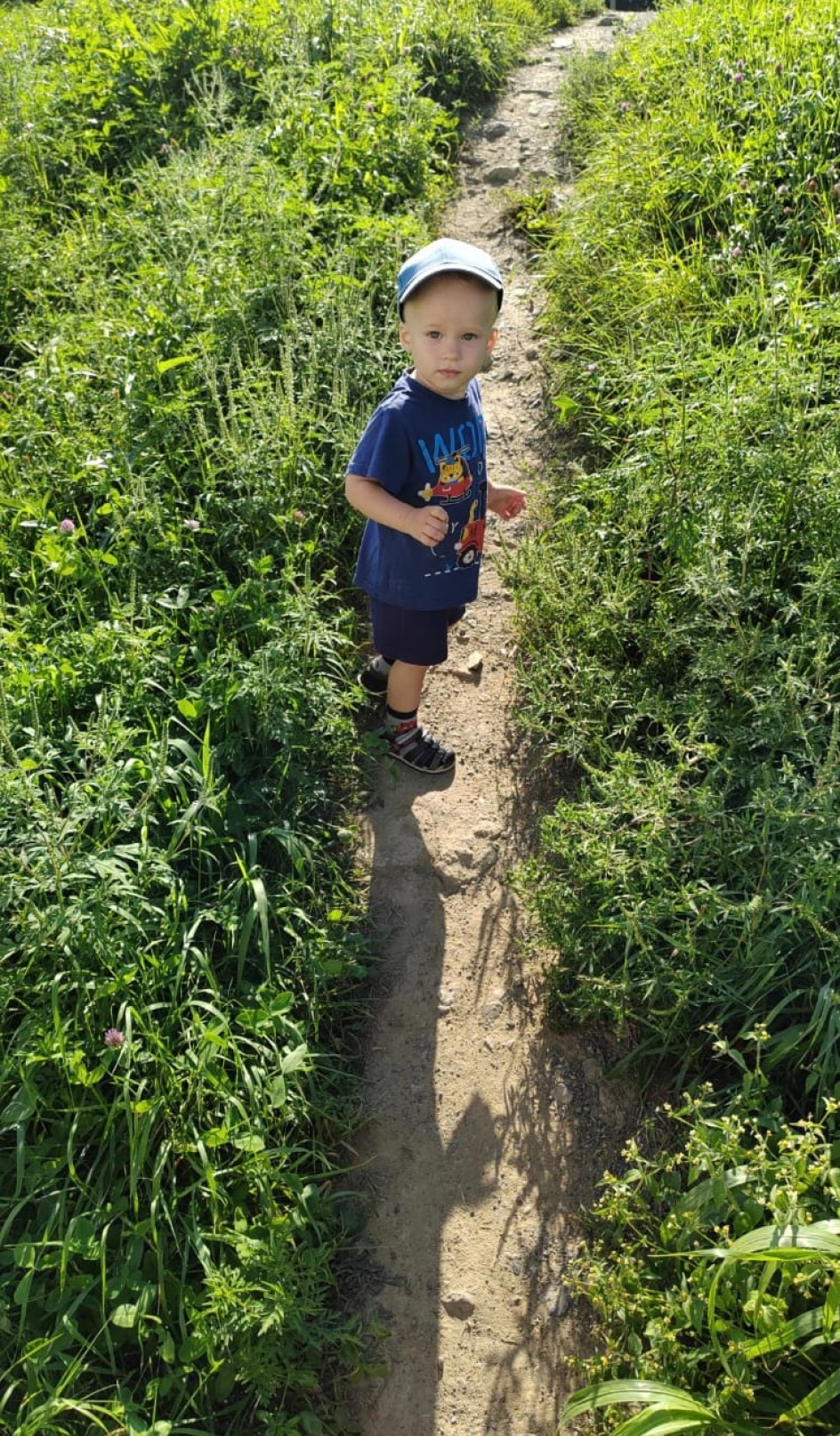 Осенняя тропинка