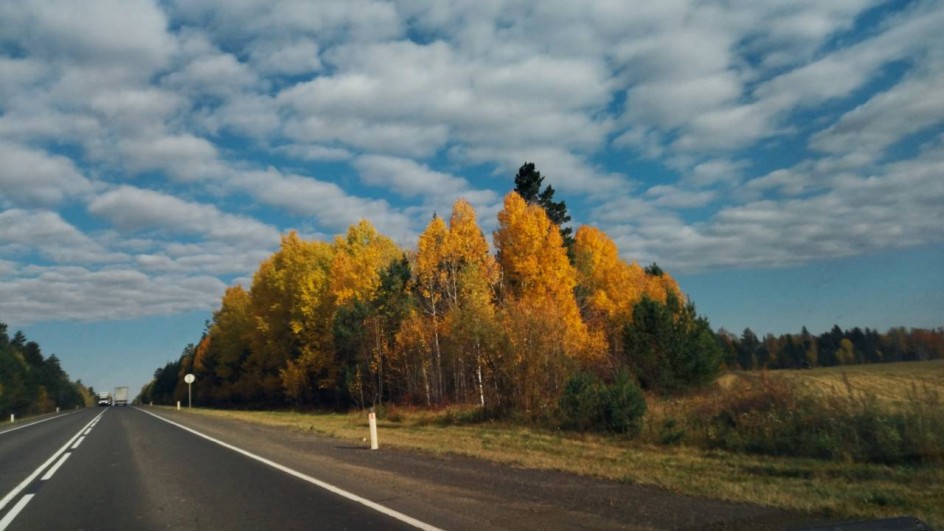 Осенняя гармония природы