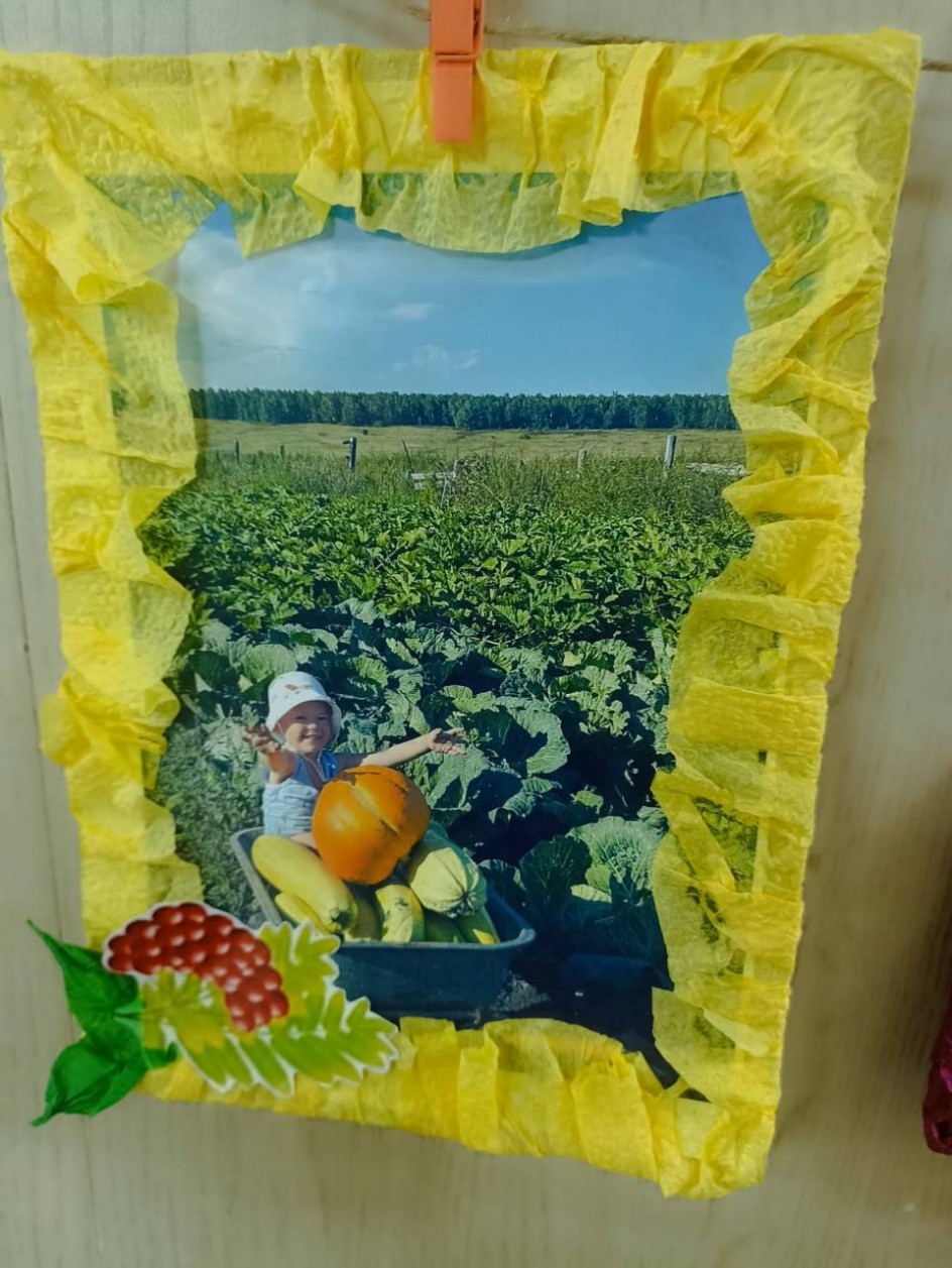 "Вот так урожай"