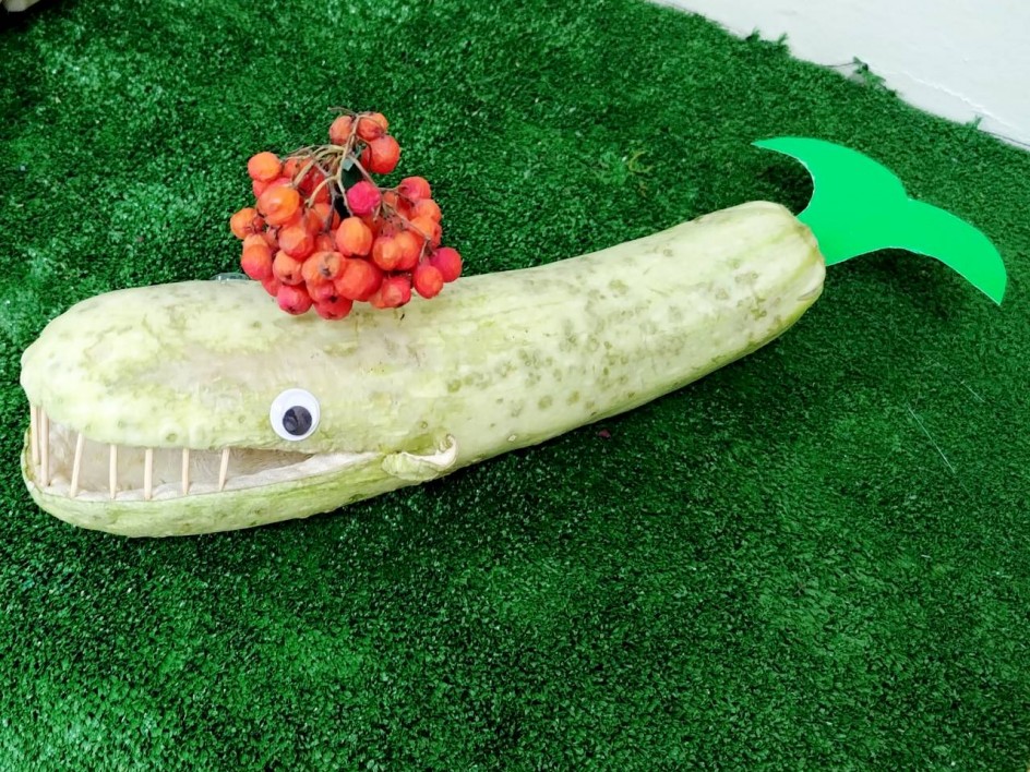 Чудо кит