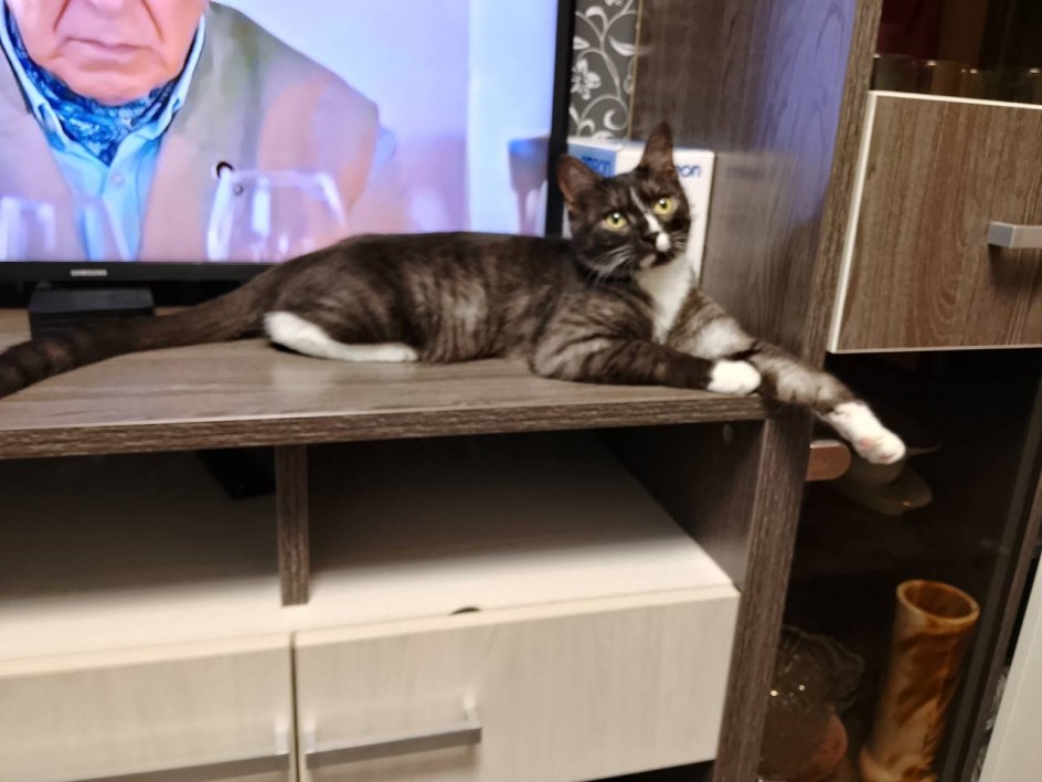 Мой Тимка