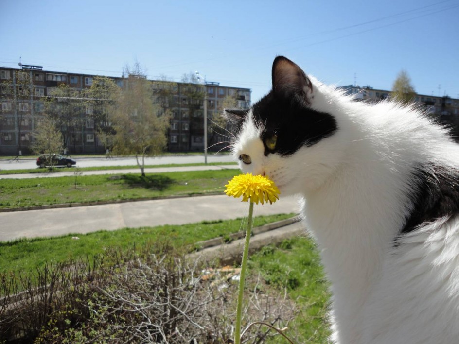 Встречая весну