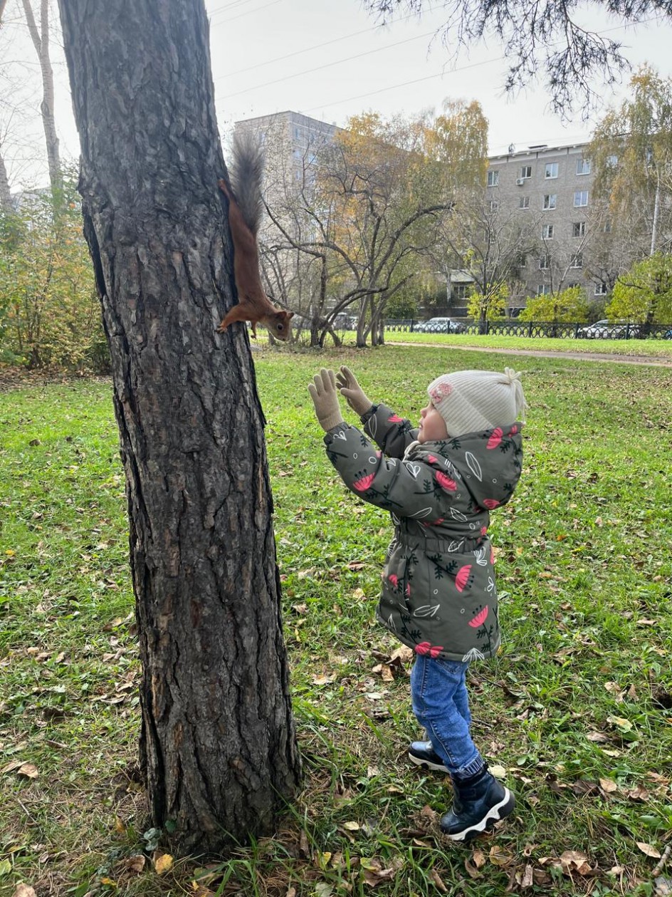 "Знакомство с белочкой"