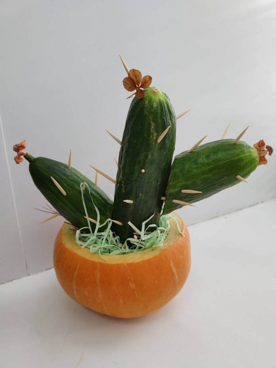 "Кактус"