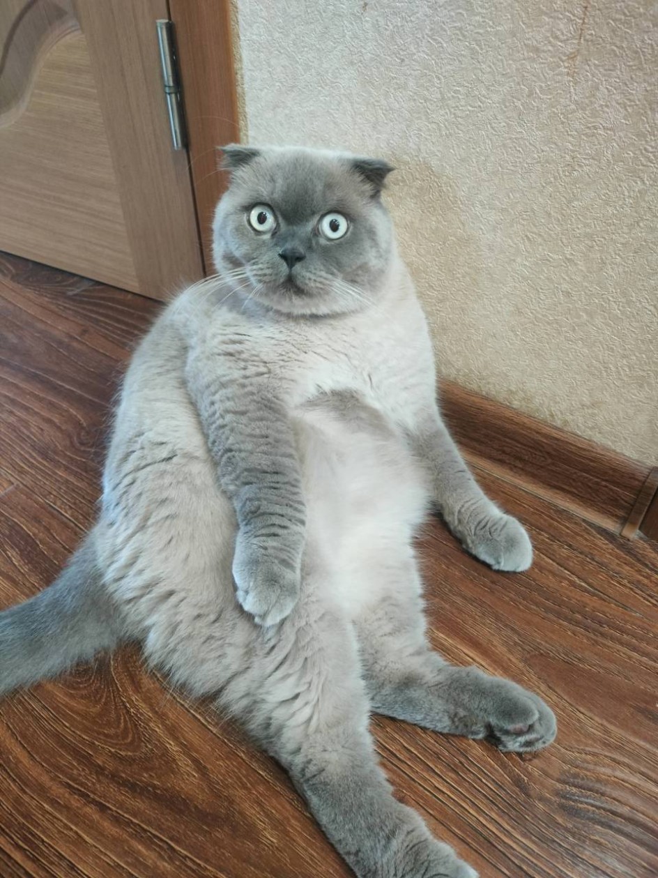 Хозяин жизни
