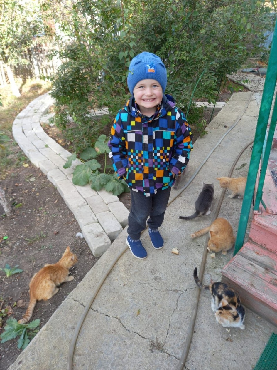 Я и мои любимцы