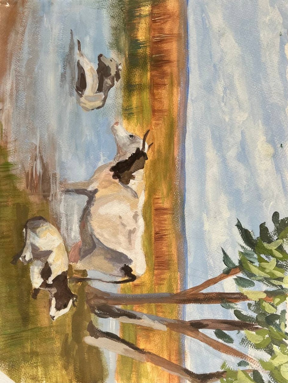 «Коровье раздолье»