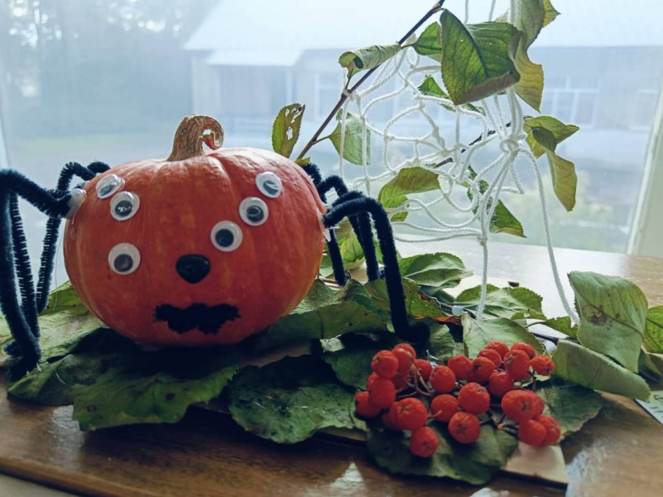 Осенний паучок