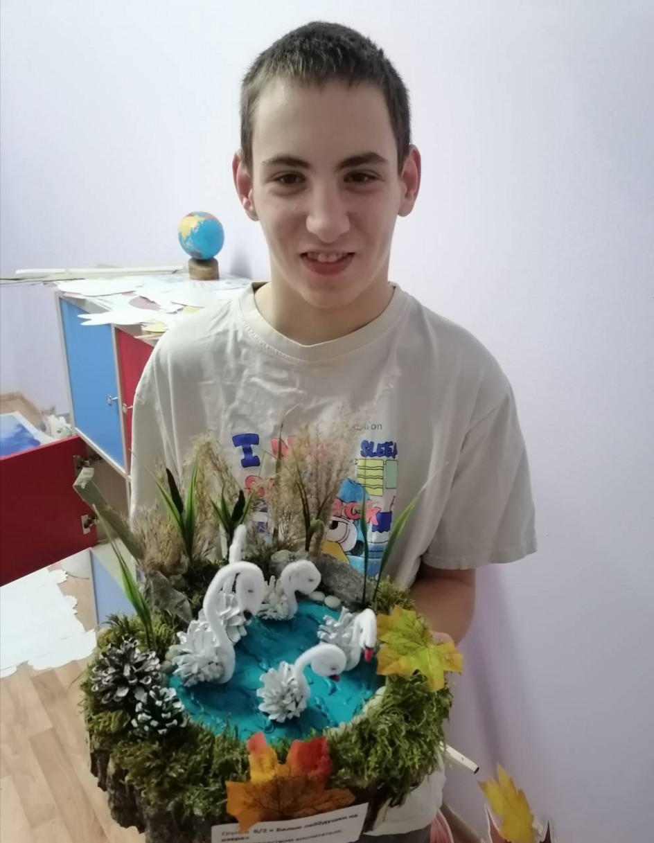 Лебедушки на озере