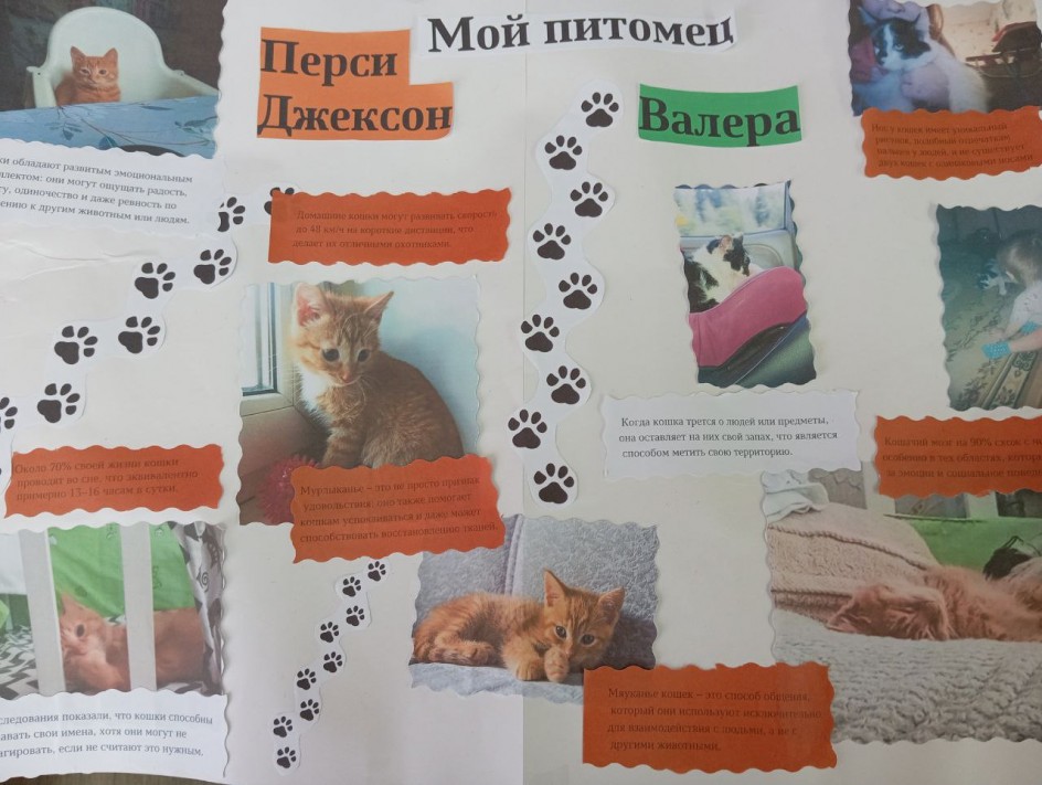 Мои питомцы-Перси Джексон и Валера
