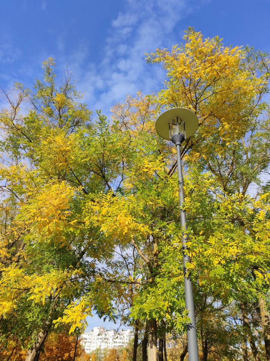 Золотая осень