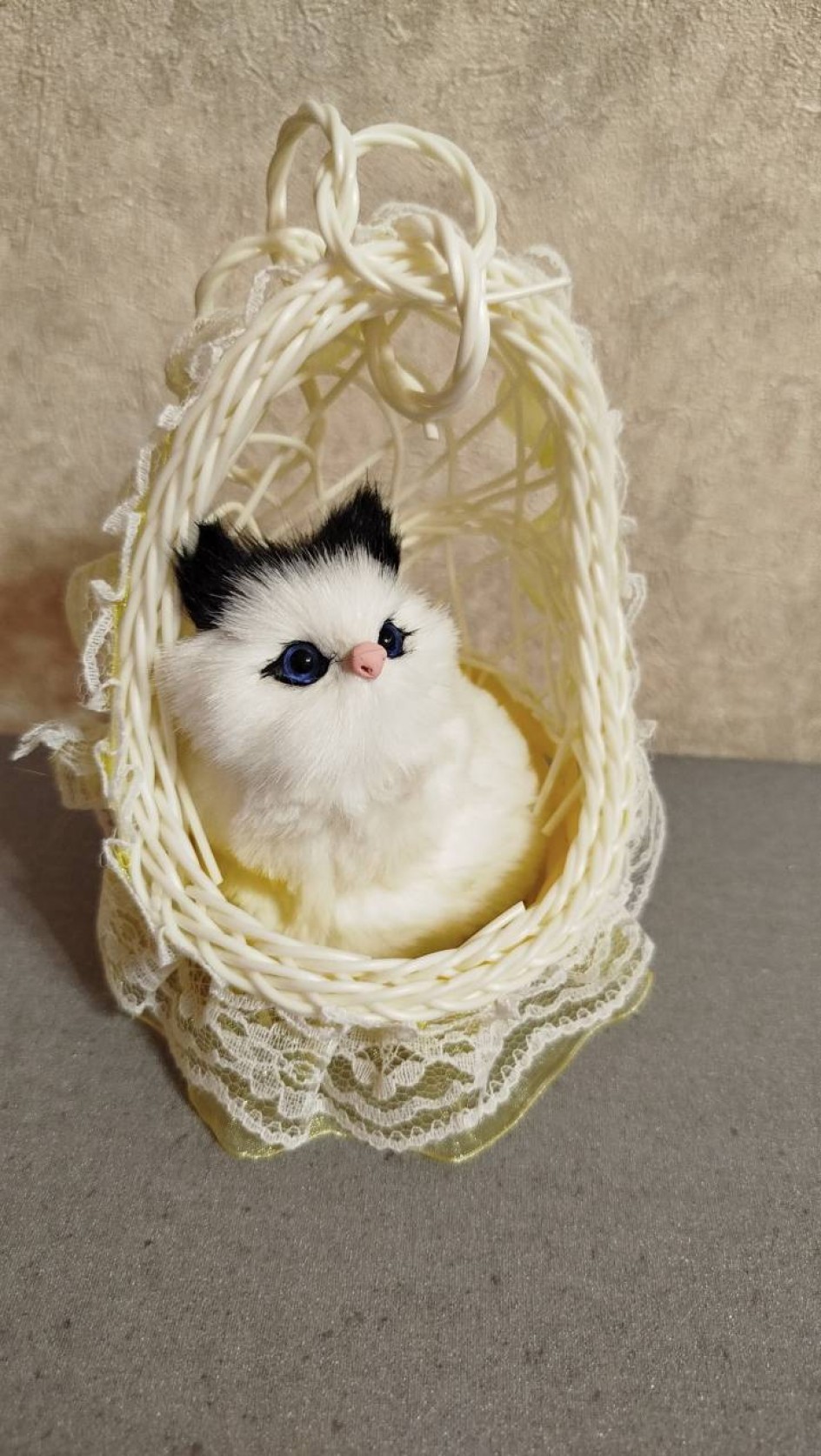 Кошечка