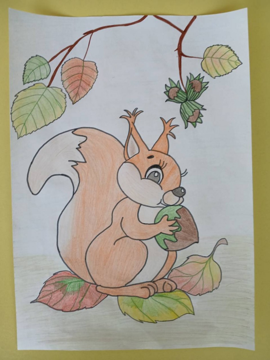 Белкины запасы