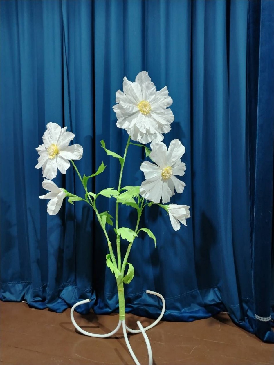 Ромашка