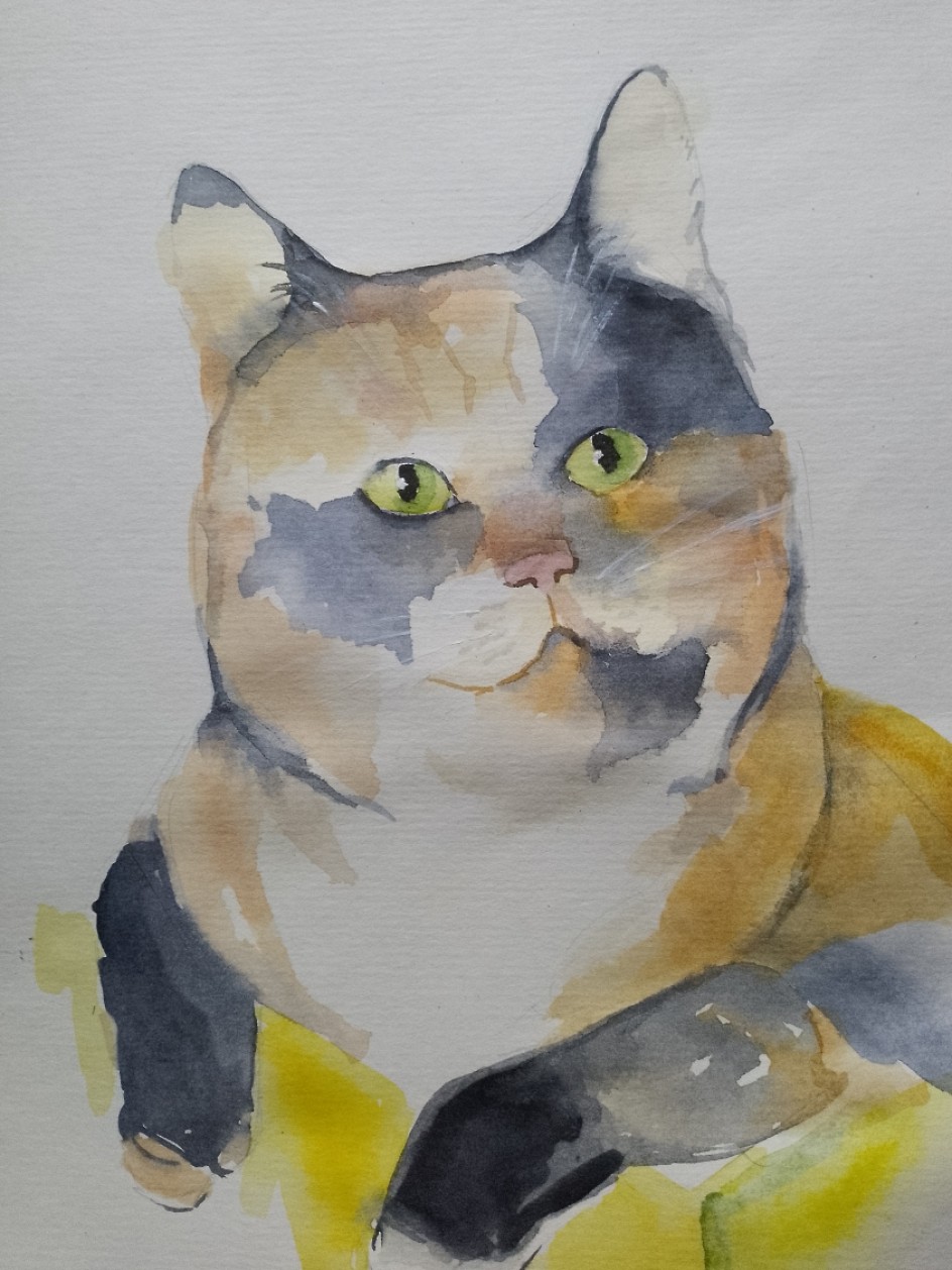 Моя любимая кошка"Машка"