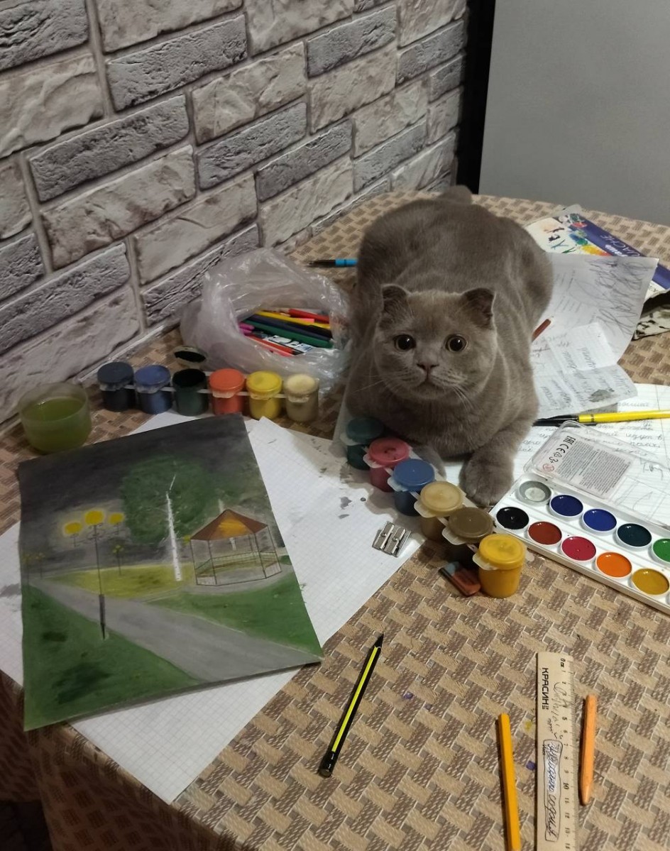 помощник Марс