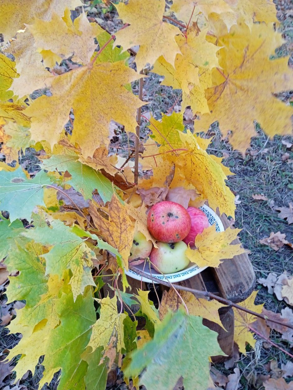 Осенний натюрморт