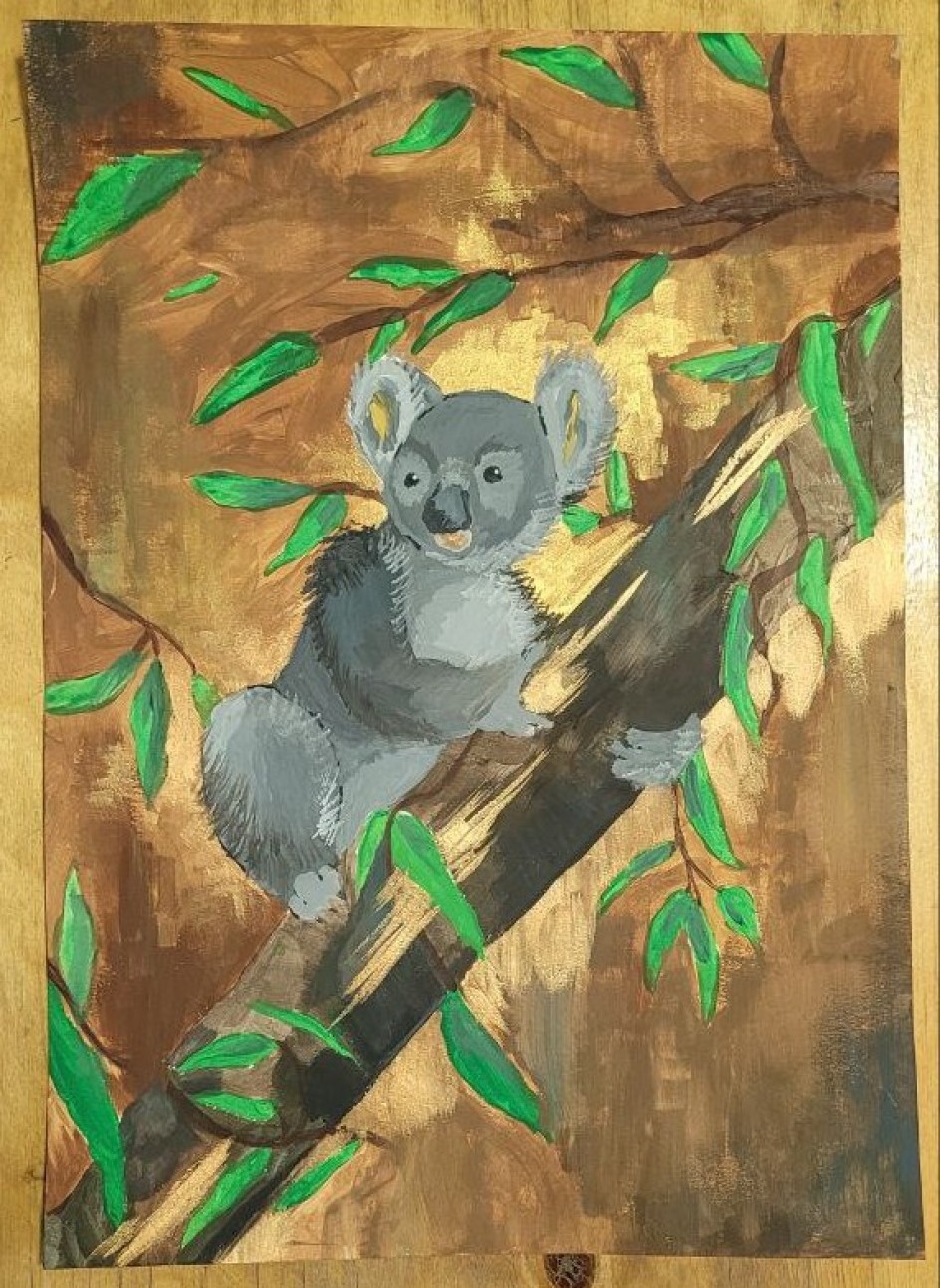 " Коала "