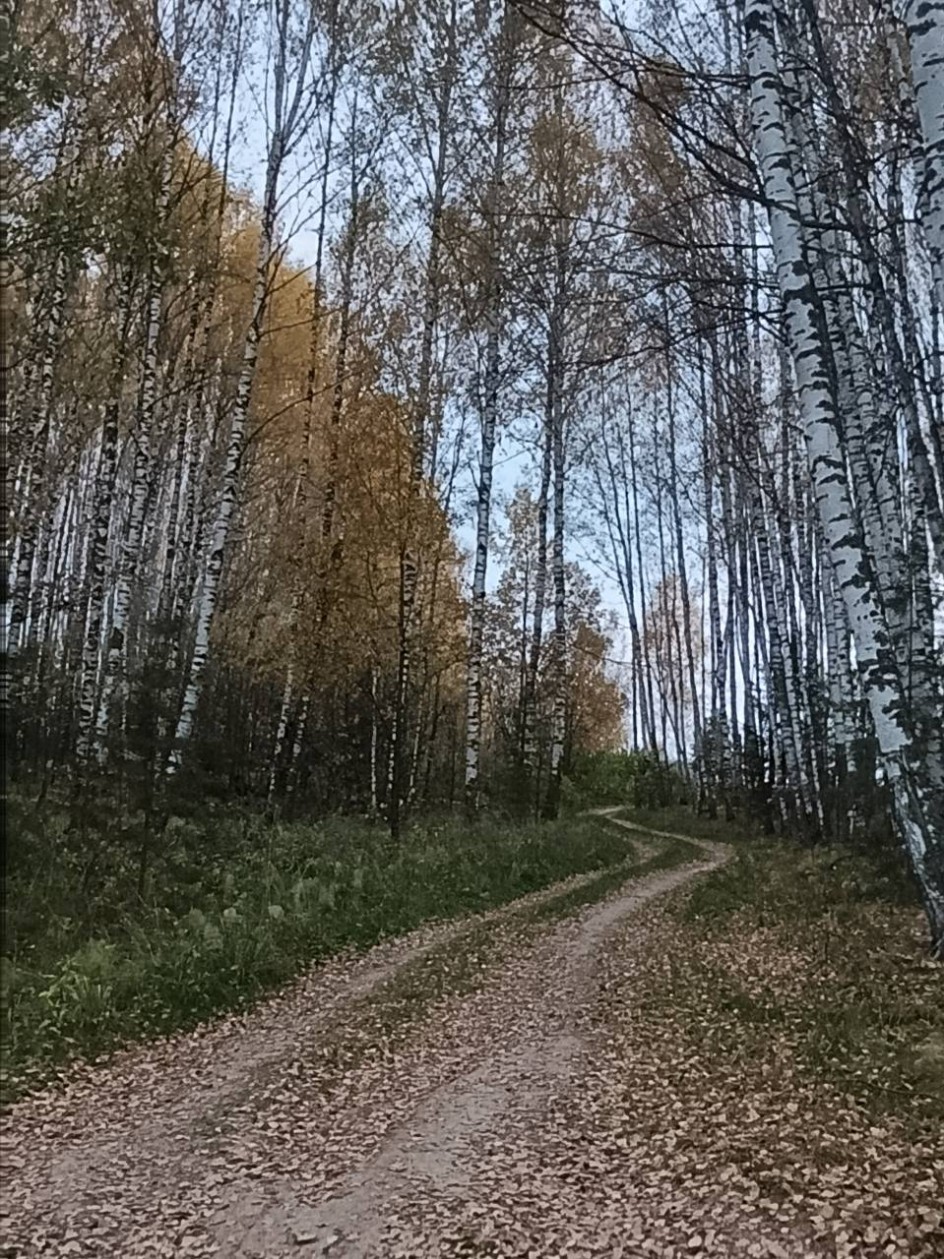 "Осенняя дорога"