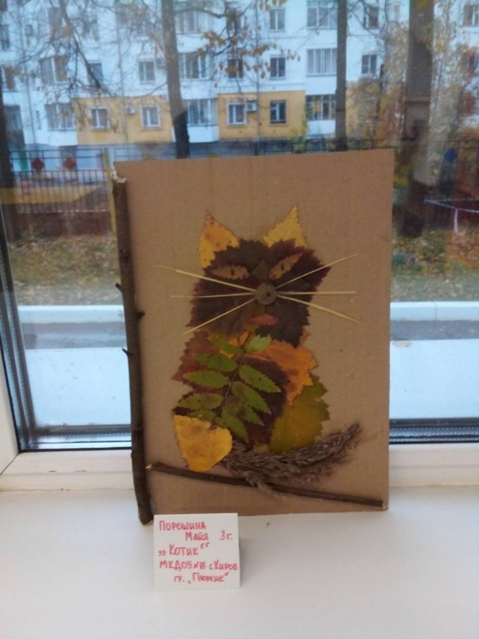 " Котик"