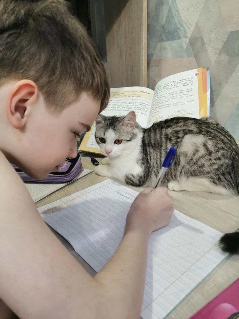 Кот ученый.