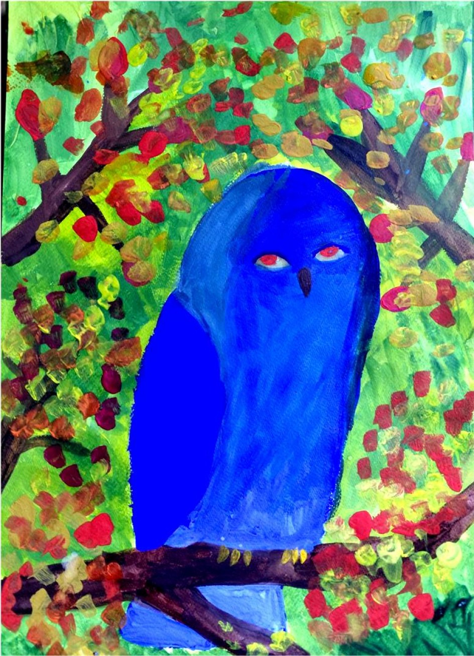 Сова- лесная птица
