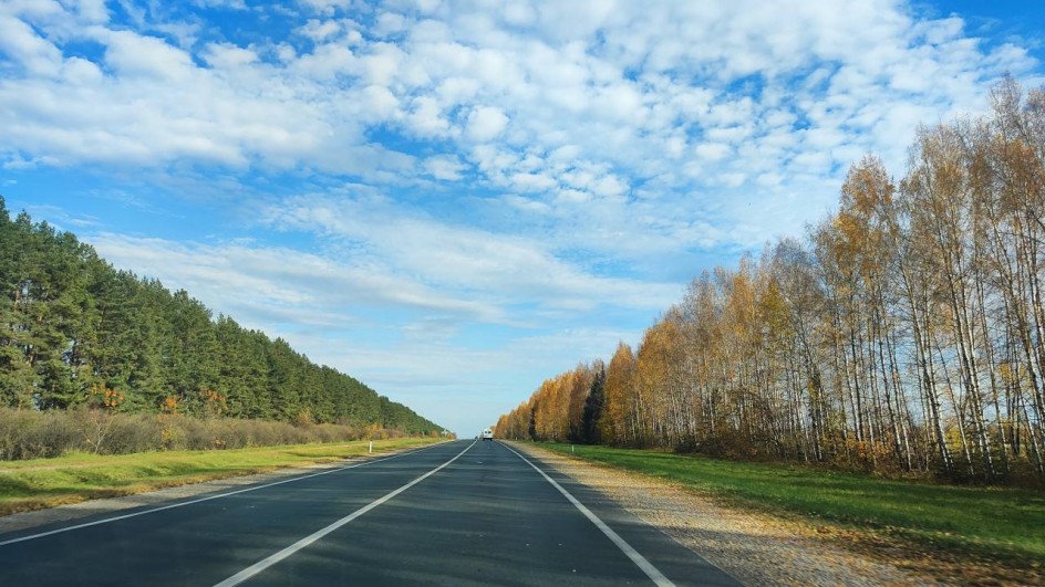 Дорога в осень