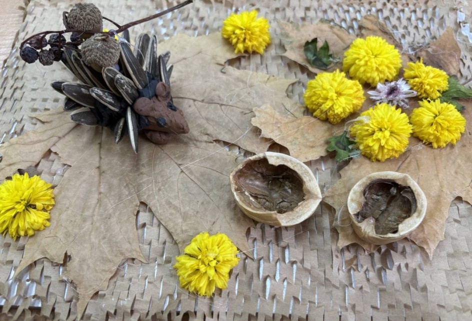 Ёжик на лесной опушке