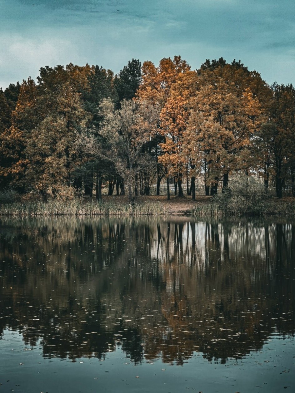 Есть осень первоночальная