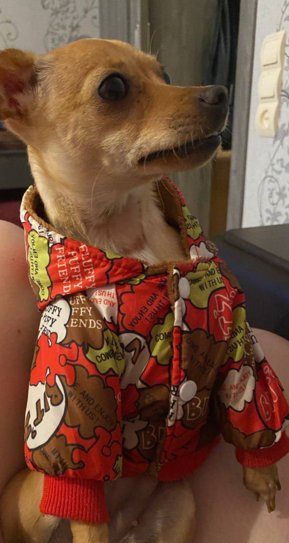 Мы на стиле