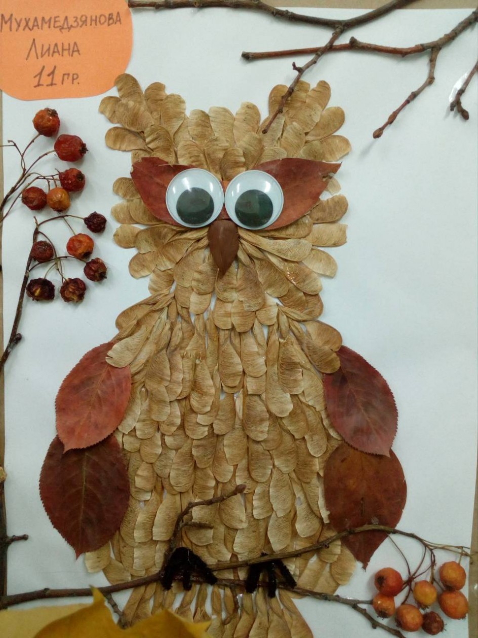Сова