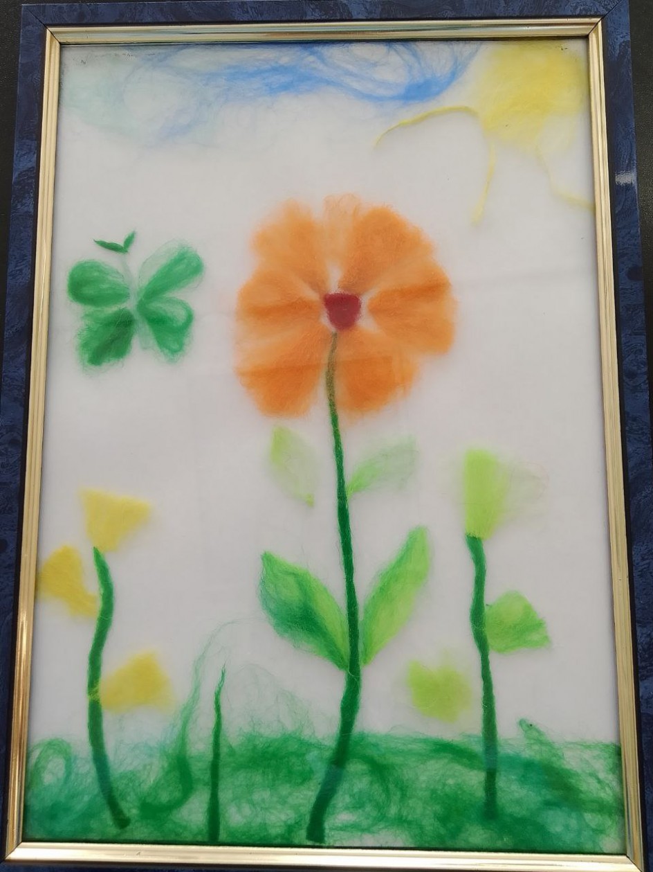 Полевые цветы