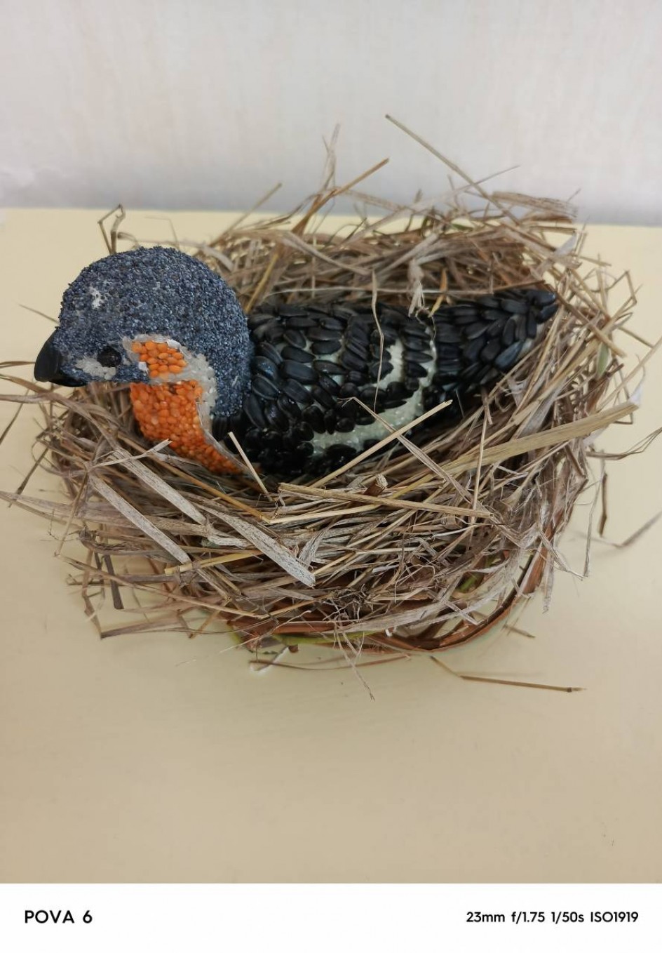 Птица России