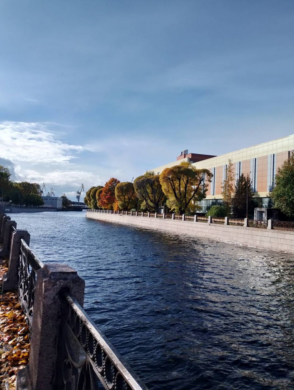 Красоты реки Пряжки осенью