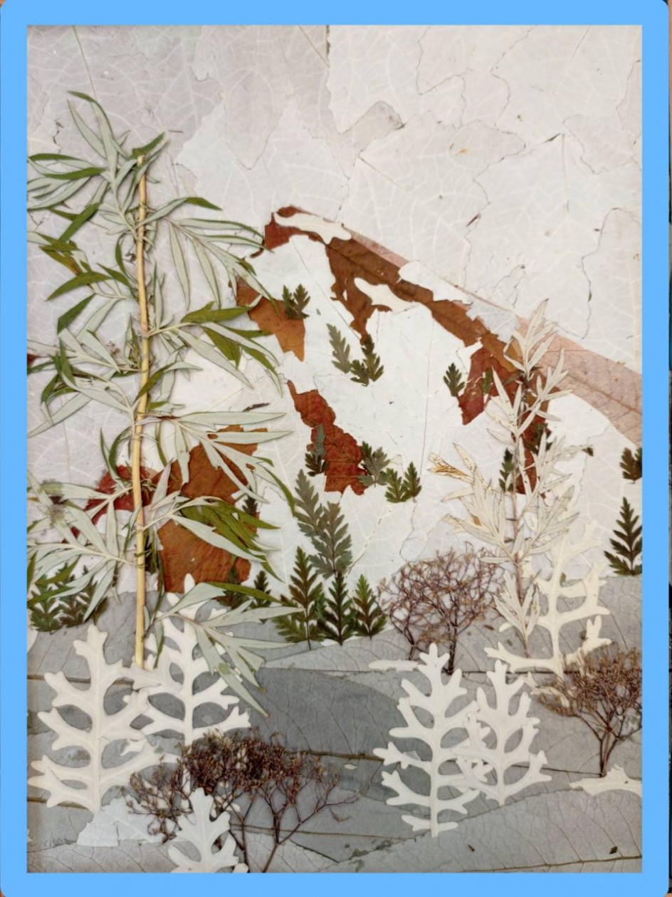 Дыхание зимы.