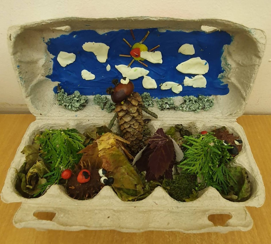 Звери играют в прятки