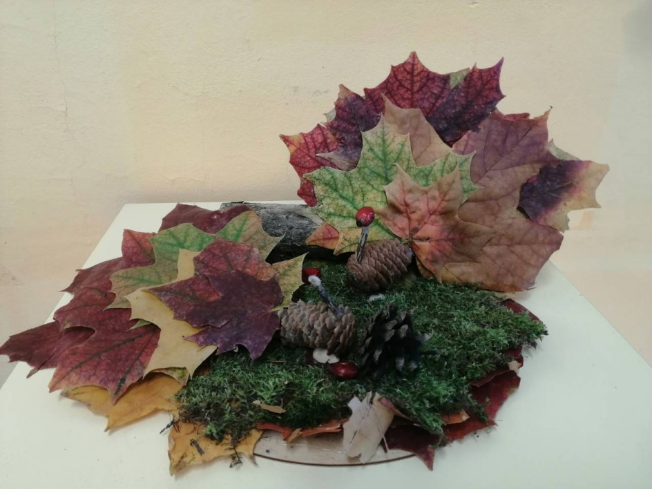 Осенняя поляна