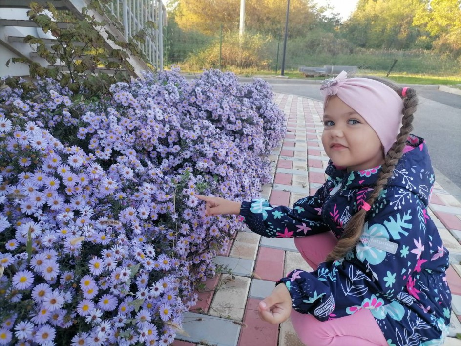 Осенние цветы