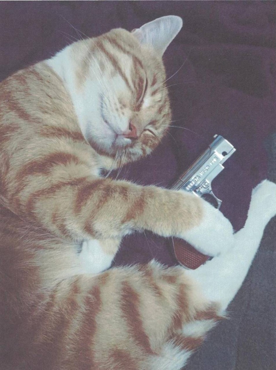 Охранник Кеша