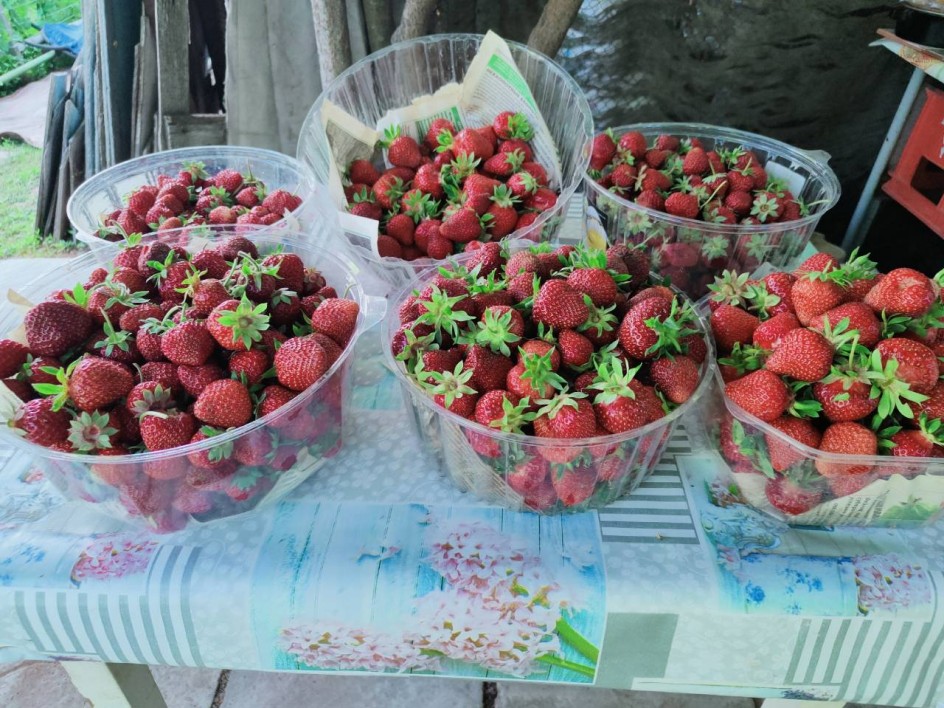 Клубничка!!!