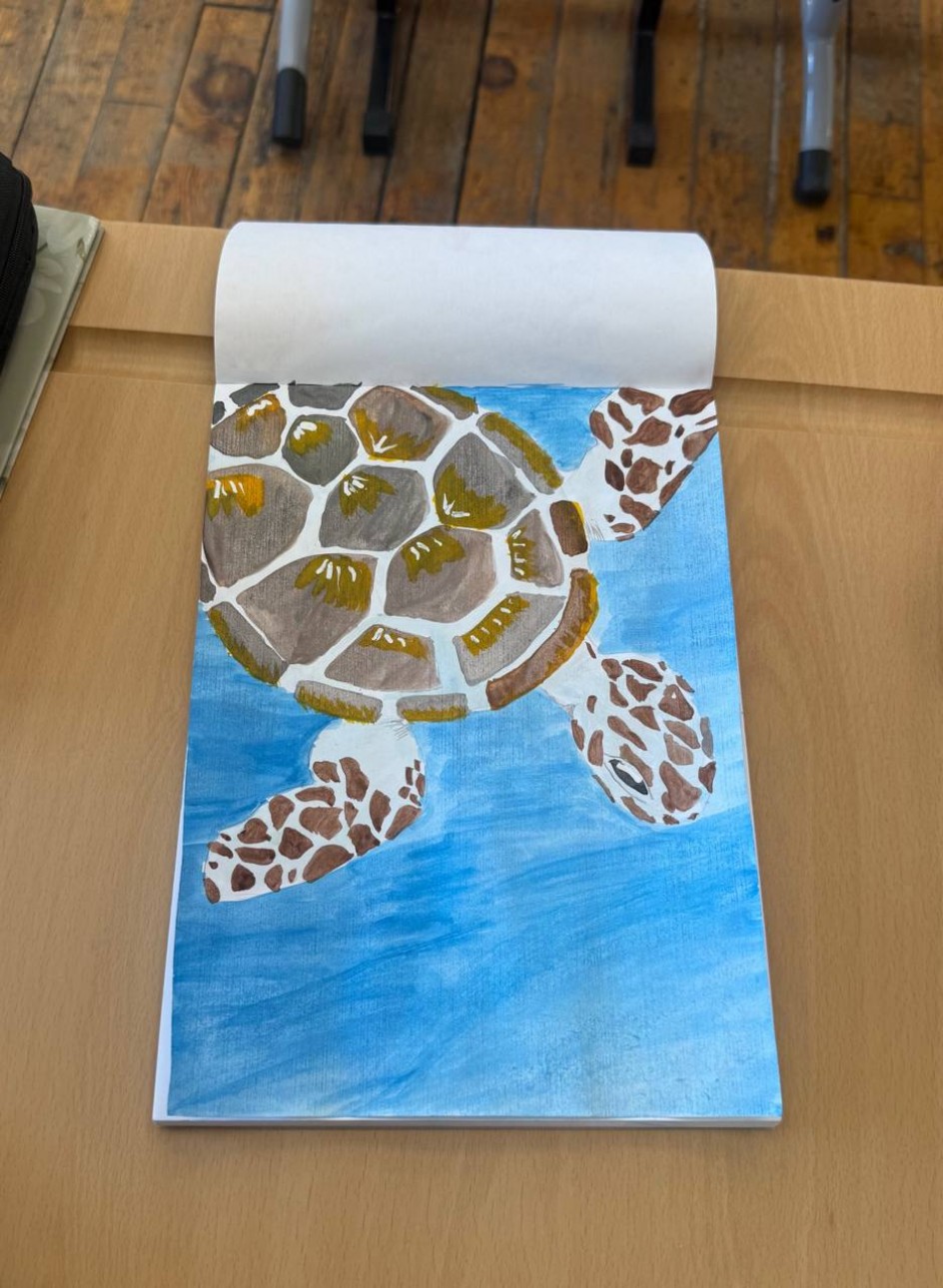 Морская черепашка