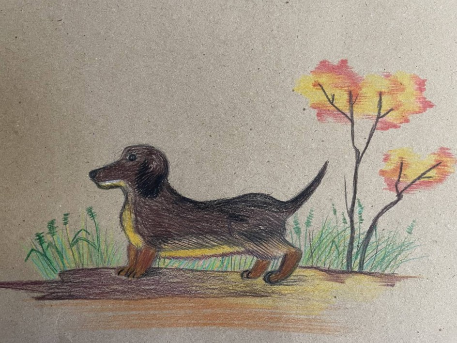 «Осенняя прогулка»