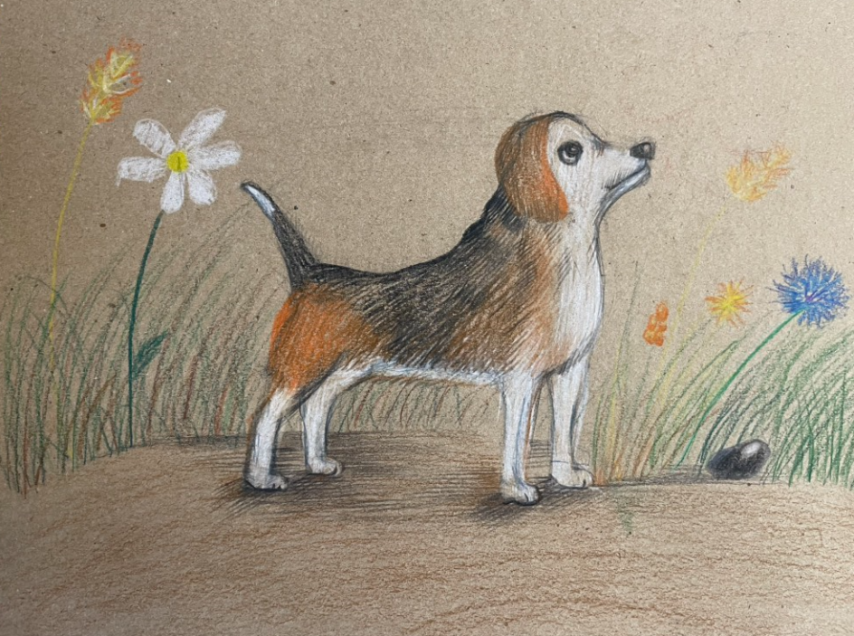 «Летняя прогулка»