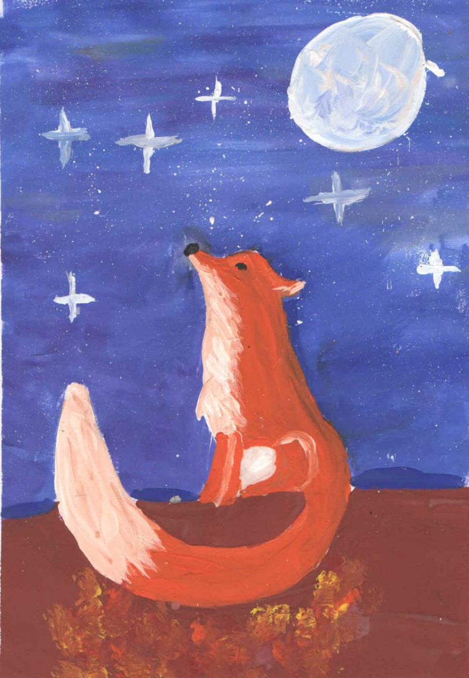 Лиса и ночное небо