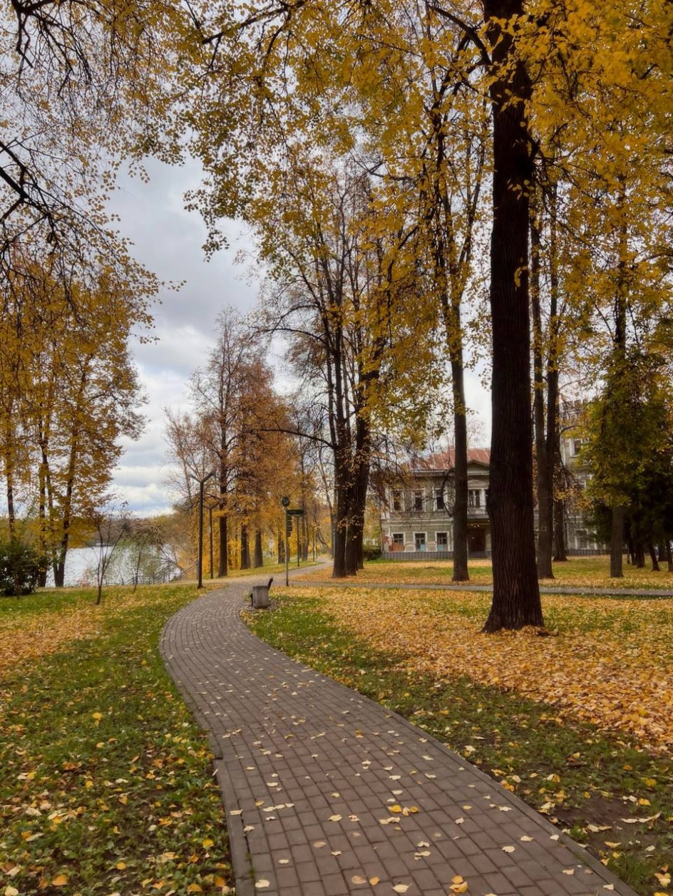 Осень в парке Мысово