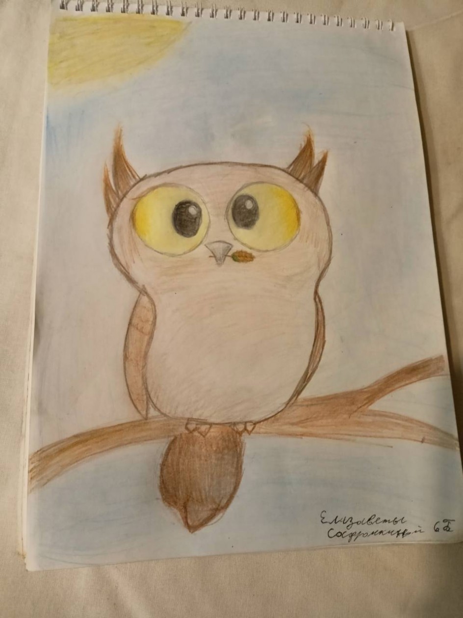 Сова на ветке теплой осенью .