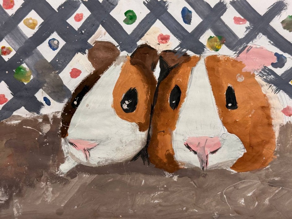 Морские свинки