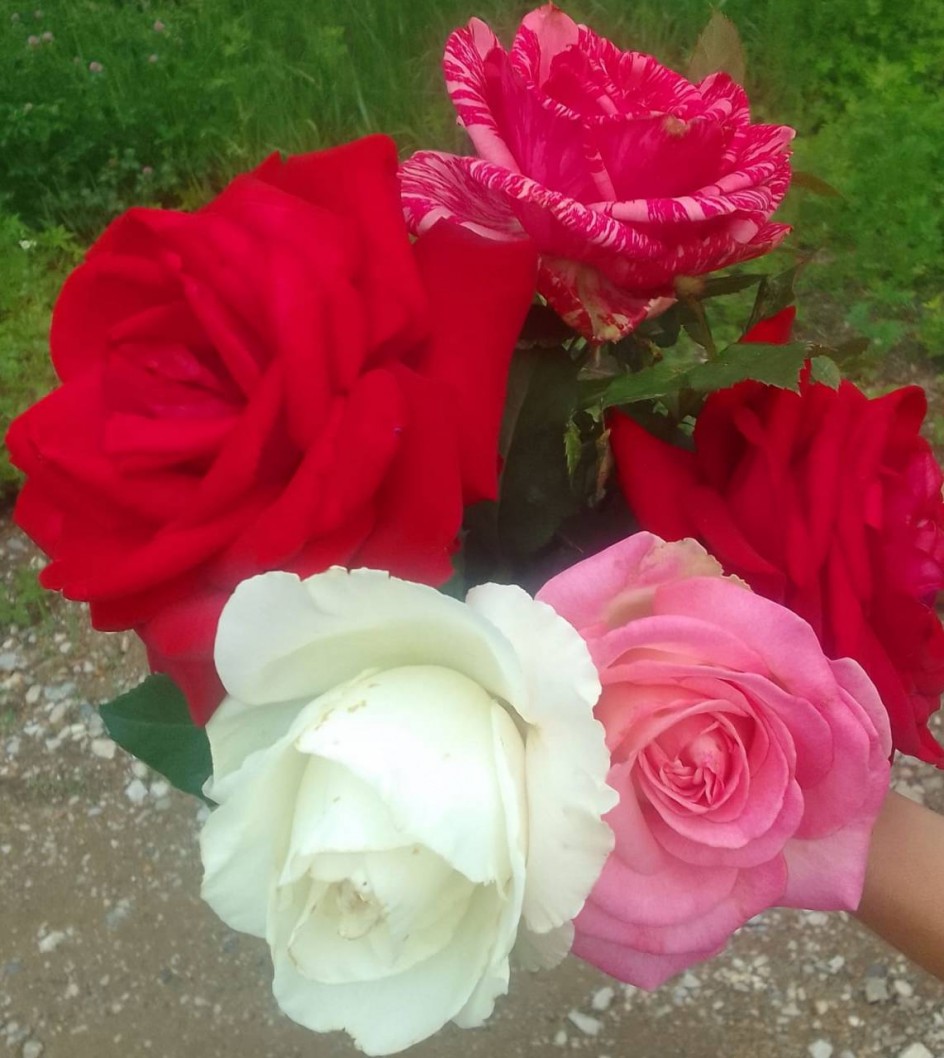 "Розовый букет"