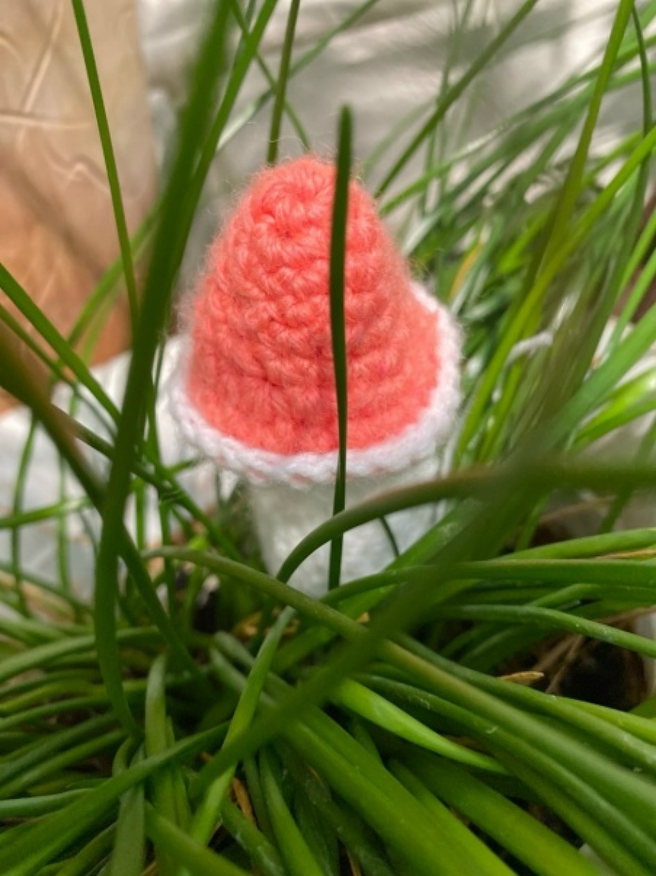 Подосиновик